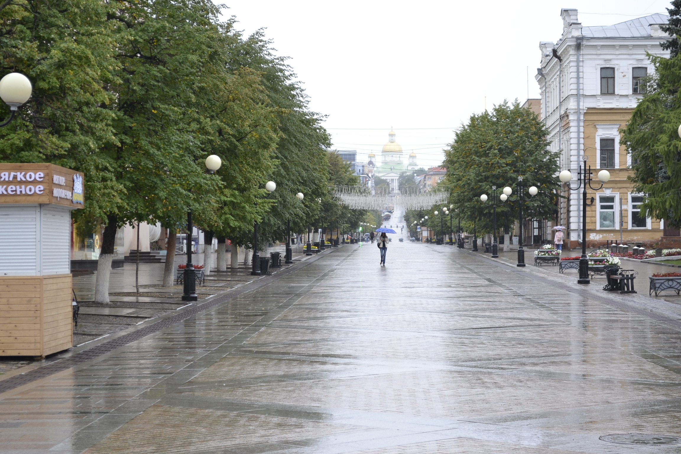 Пензенских руководителей приглашают на «круглый стол» в ПГУ