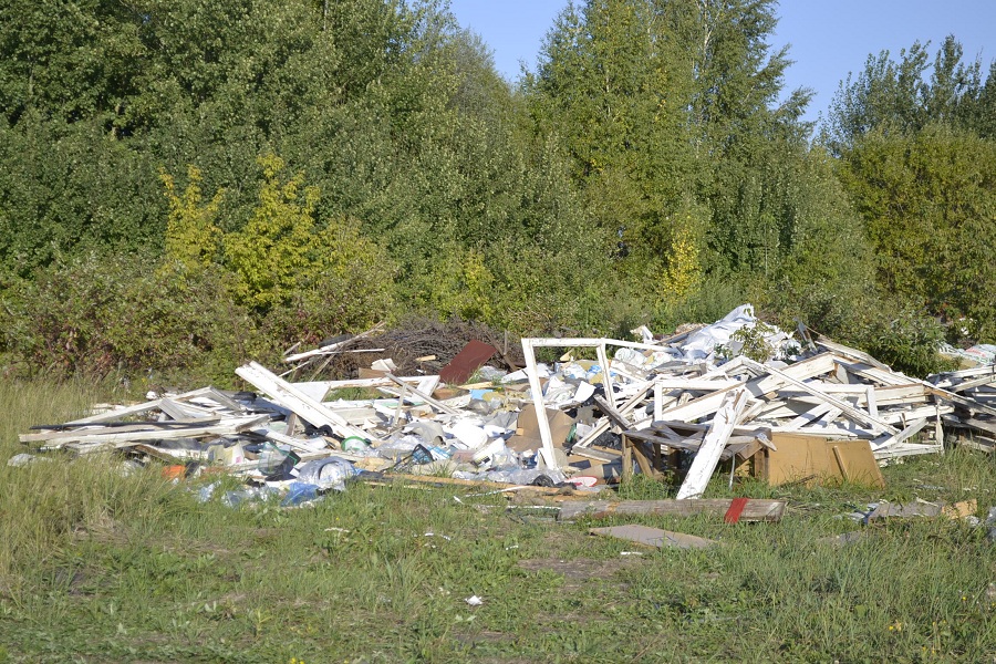 Губернатор распорядился определить площадки для крупногабаритного мусора