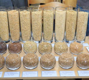 Итоги первого форума экспортеров: почему пензенские товары не хуже зарубежных