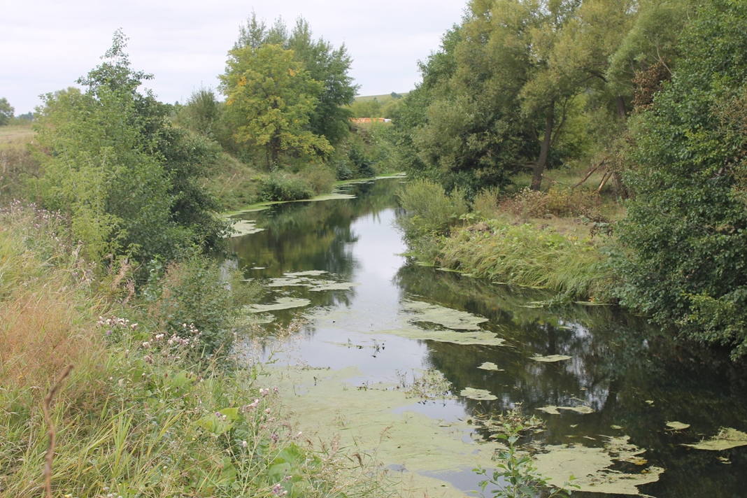 С пензенских водоемов собрали 1564 кубометра мусора