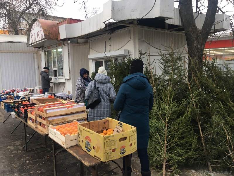 В Пензе пресекли незаконную торговлю елками