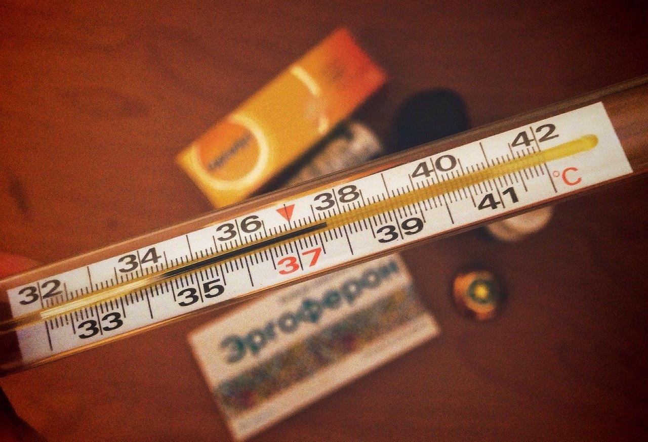 В Пензе в нескольких школах введен карантин из-за ОРВИ