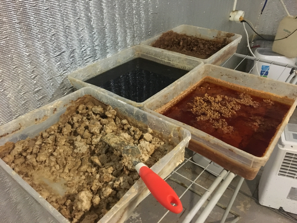 В Пензе сотрудники ФСБ задержали владельцев крупной нарколаборатории