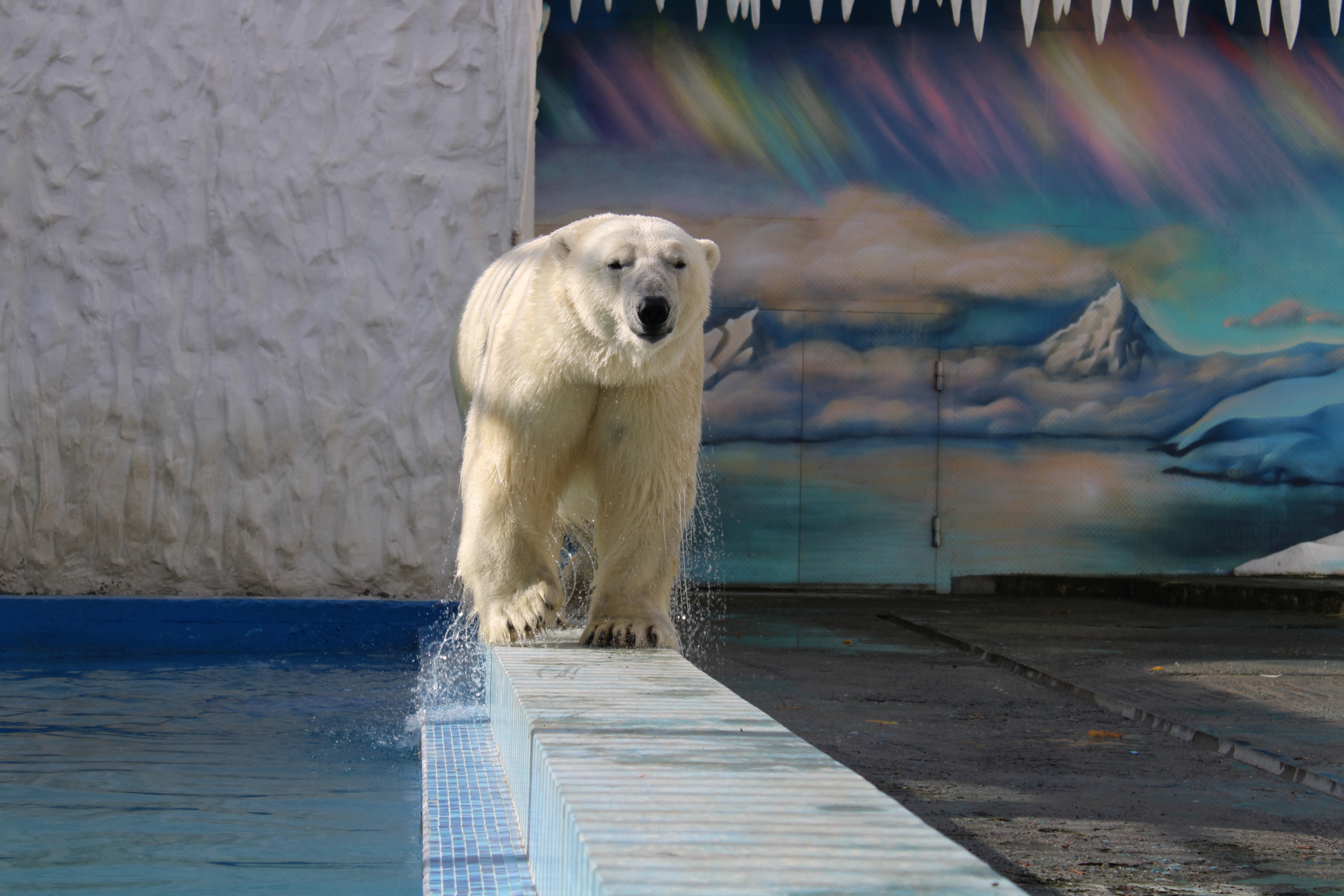 Жители Пензы смогут посетить зоопарк по сниженной цене