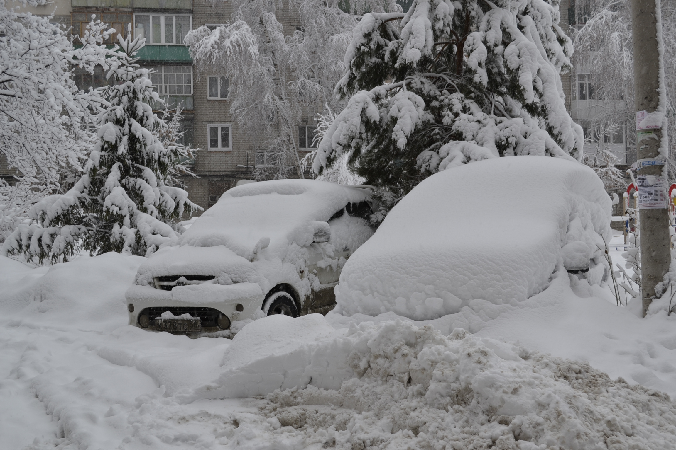 В канун Нового года жителей Пензы ждет снегопад и метель
