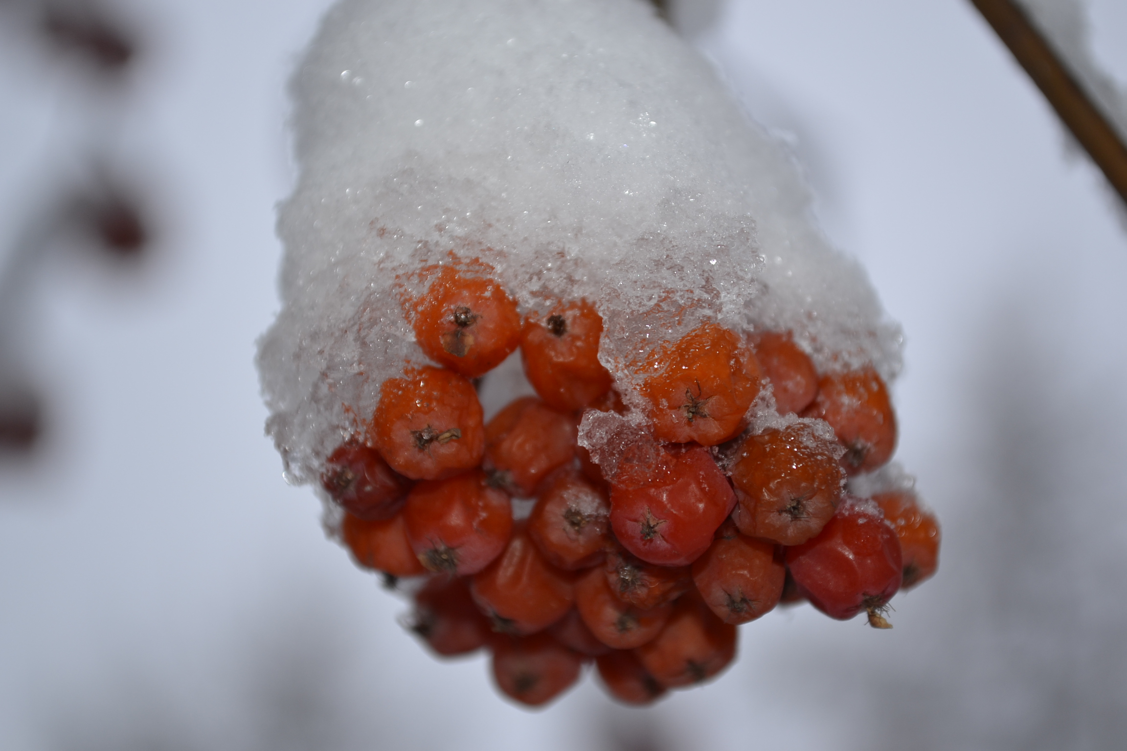 В Пензенской области в пятницу ожидается 15-градусный мороз