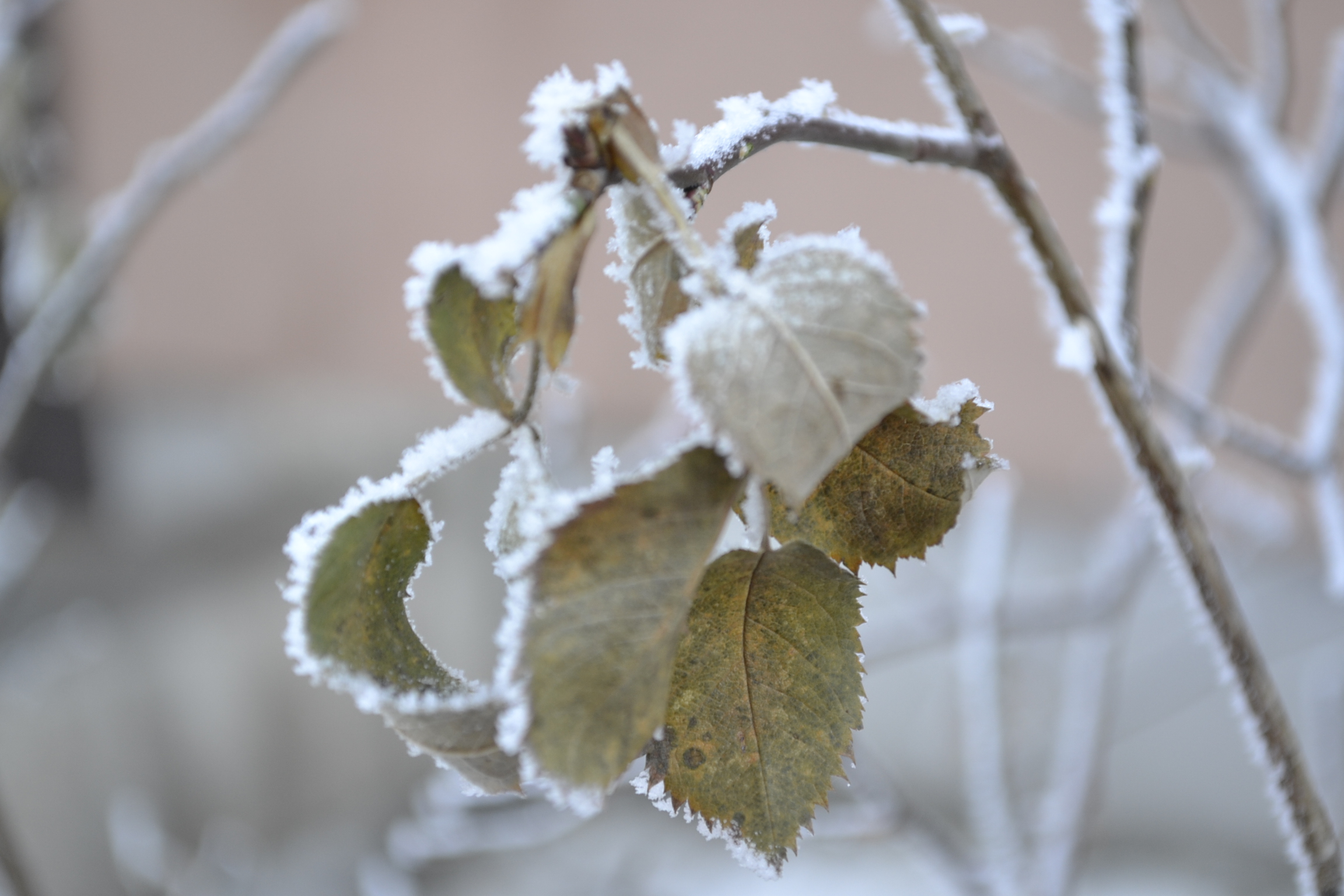 В Пензе прогнозируется теплая погода