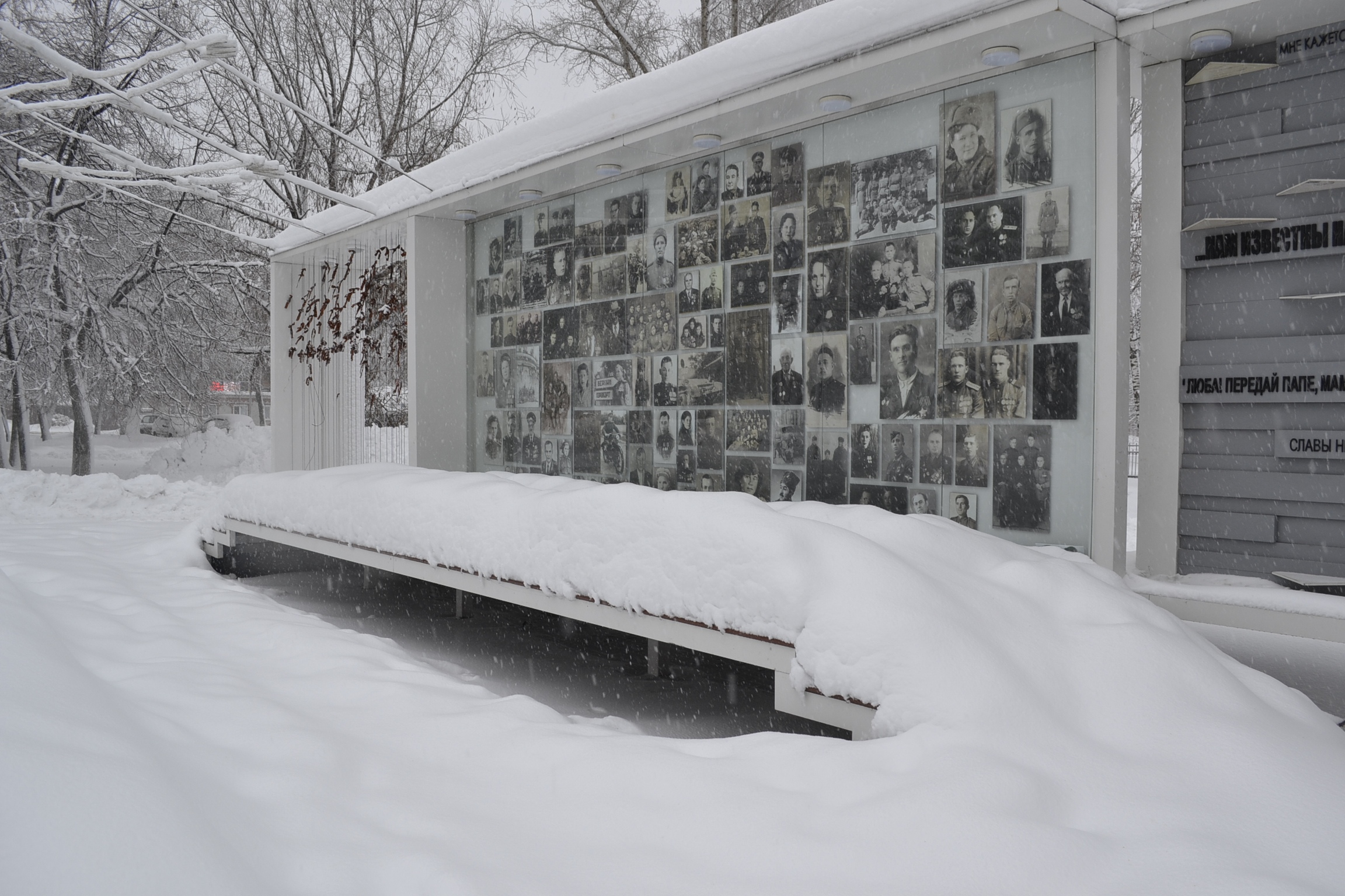 В Пензе сквер «Пионерский» примет новый облик