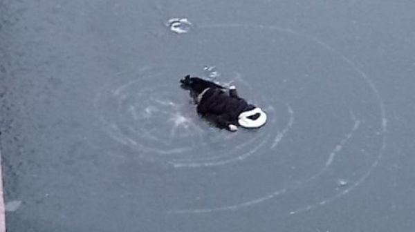 Спрыгнувшей с пензенского моста девушке было всего 19 лет