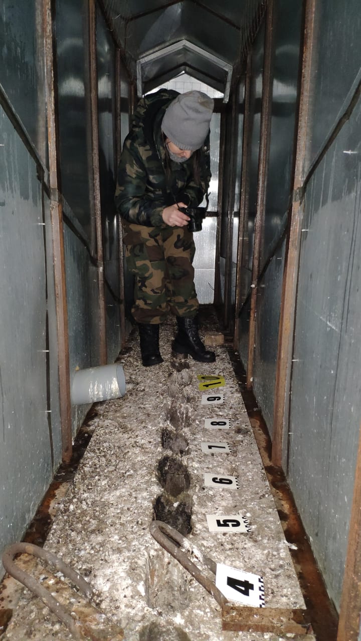 На место сметри четверых в Бессоновке выехал прокурор