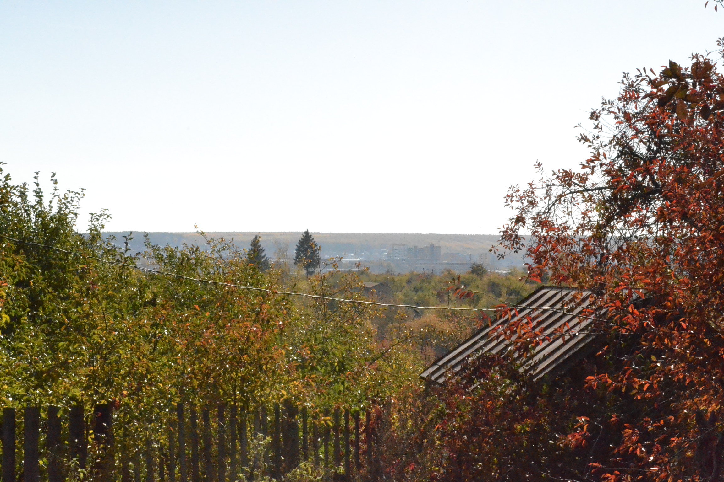 Объем дачных перевозок сохранят на уровне прошлого года