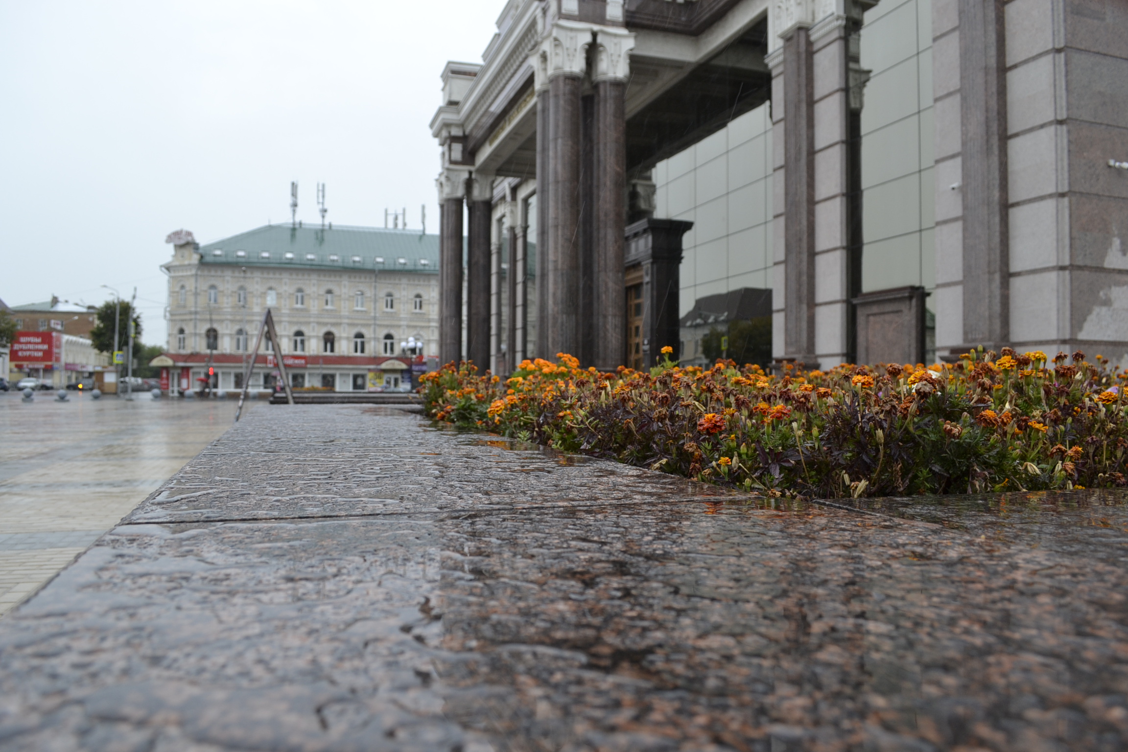 Олега Светлова вернули из Генпрокуратуры РФ в Пензу