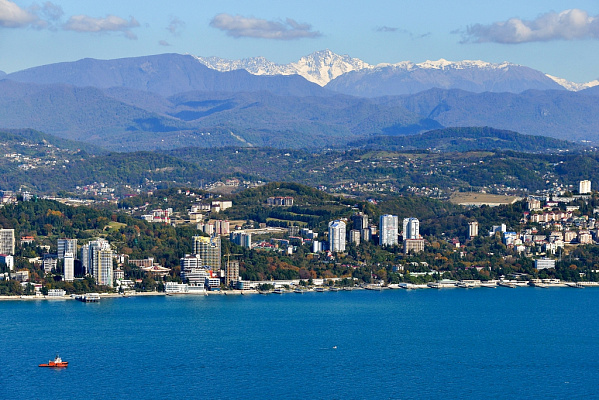 Инвестфорум в Сочи перенесут из-за короновируса