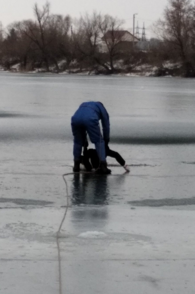 Пензенские спасатели рассказали о том, как эвакуировали девушку, упавшую с Сурского моста