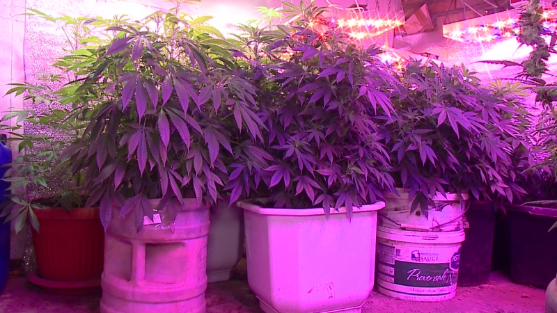 В Пензе полицейские «накрыли» нарколабораторию в подвале частного дома