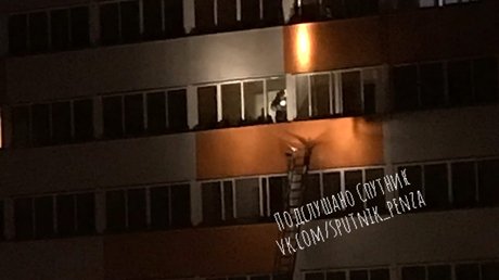 В Спутнике по тревоге были подняты пожарные из-за "картошки на плите"