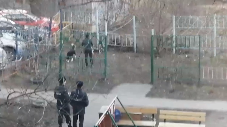 Пензенцы из закрытого на карантин подъезда гуляют возле дома с собаками