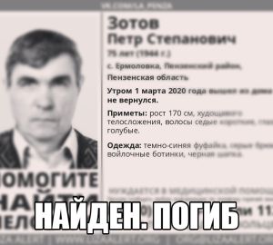 Пропавшего под Пензой пенсионера нашли мертвым