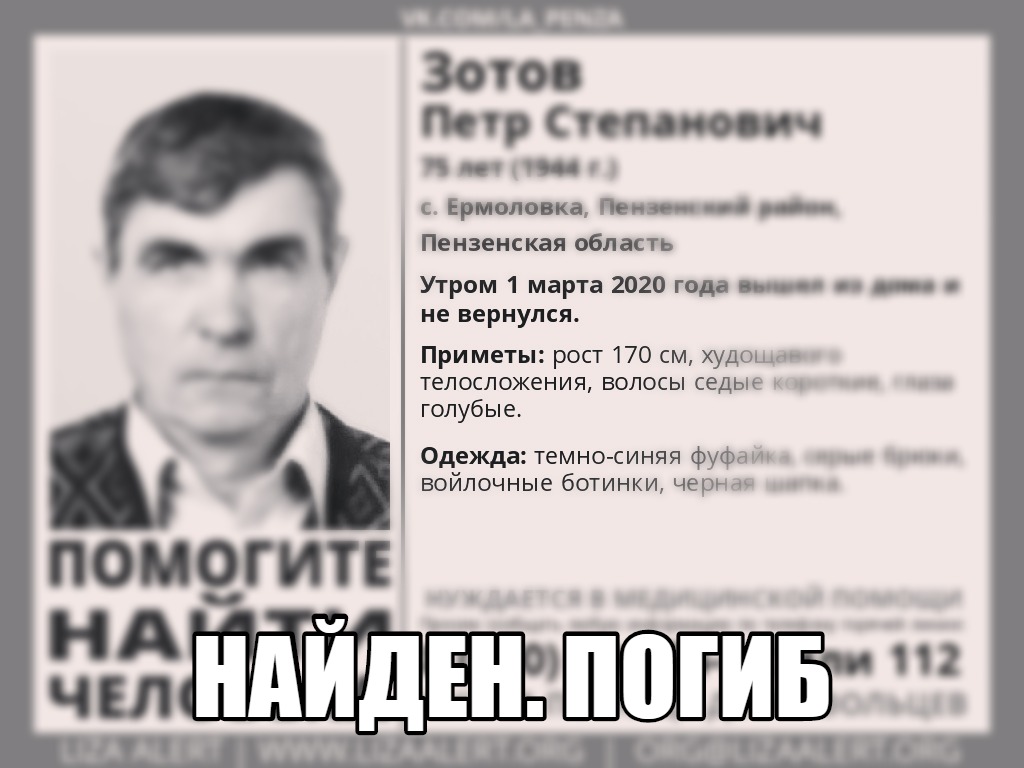 Пропавшего под Пензой пенсионера нашли мертвым