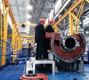 В Пензенской области компаниям предоставят отсрочку по налогам и защитят от банкротства