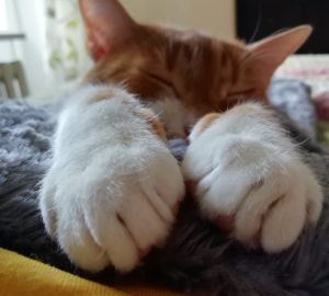 Пензенцам пообещали уютную погоду на выходные