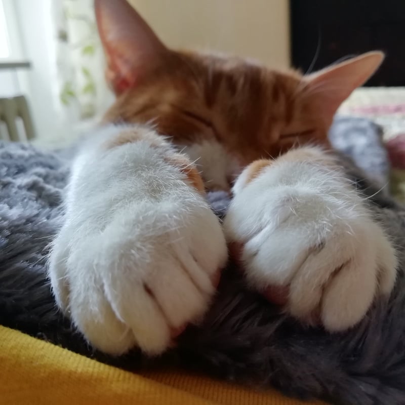 Пензенцам пообещали уютную погоду на выходные