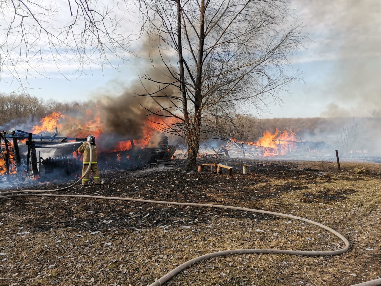 В Пензенской области с огнем боролись семь человек