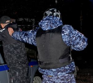 Жительница Кузнецка повстречала в своем доме неожиданного ночного гостя