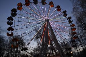 Депутаты потребовали сделать бесплатным посещение парков и зоопарка для многодетных