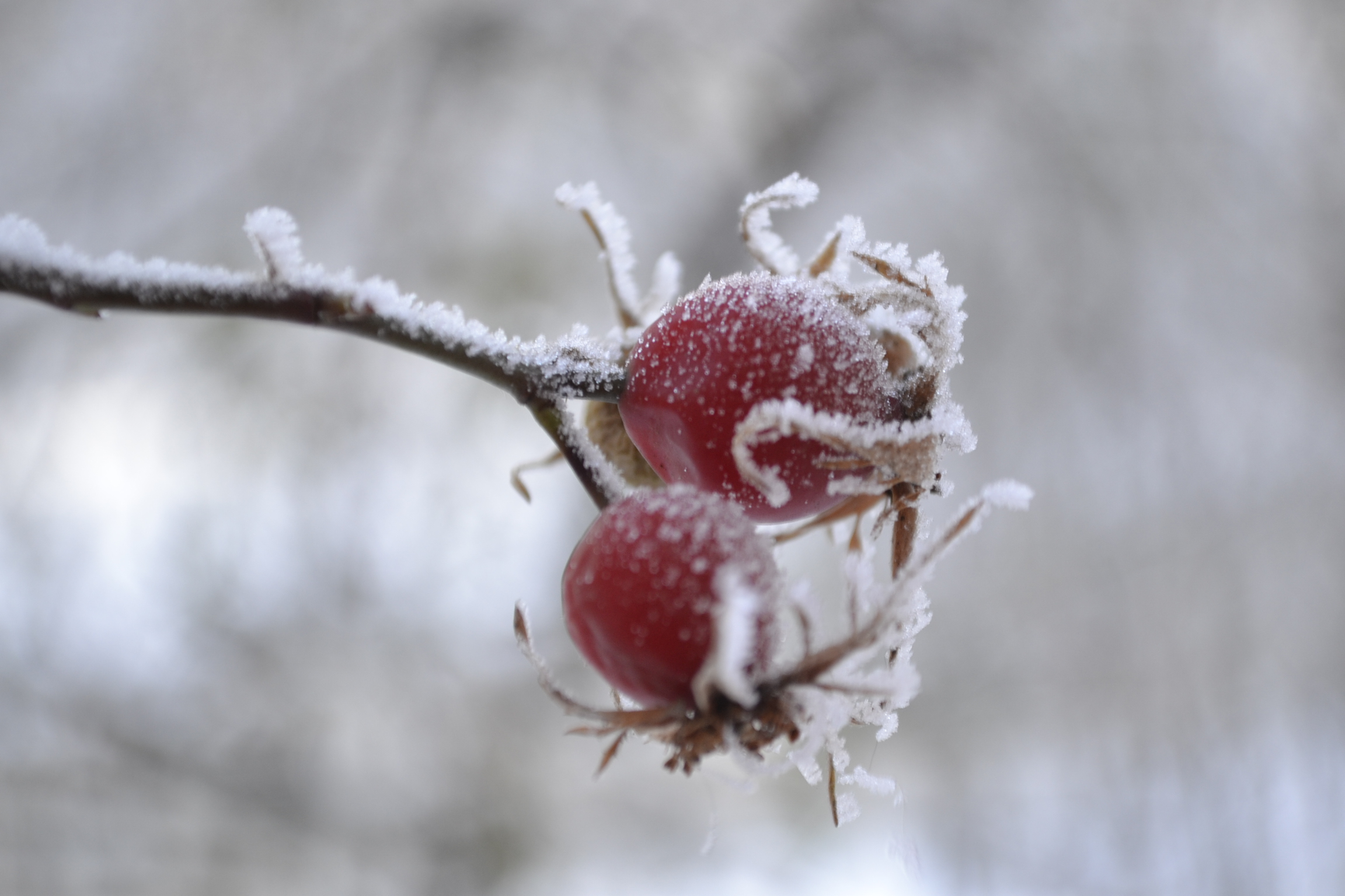 Сегодня в Пензенскую область придет мороз