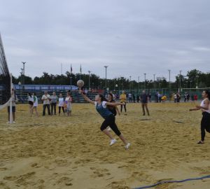 В Пензенской области будут развивать волейбол и баскетбол