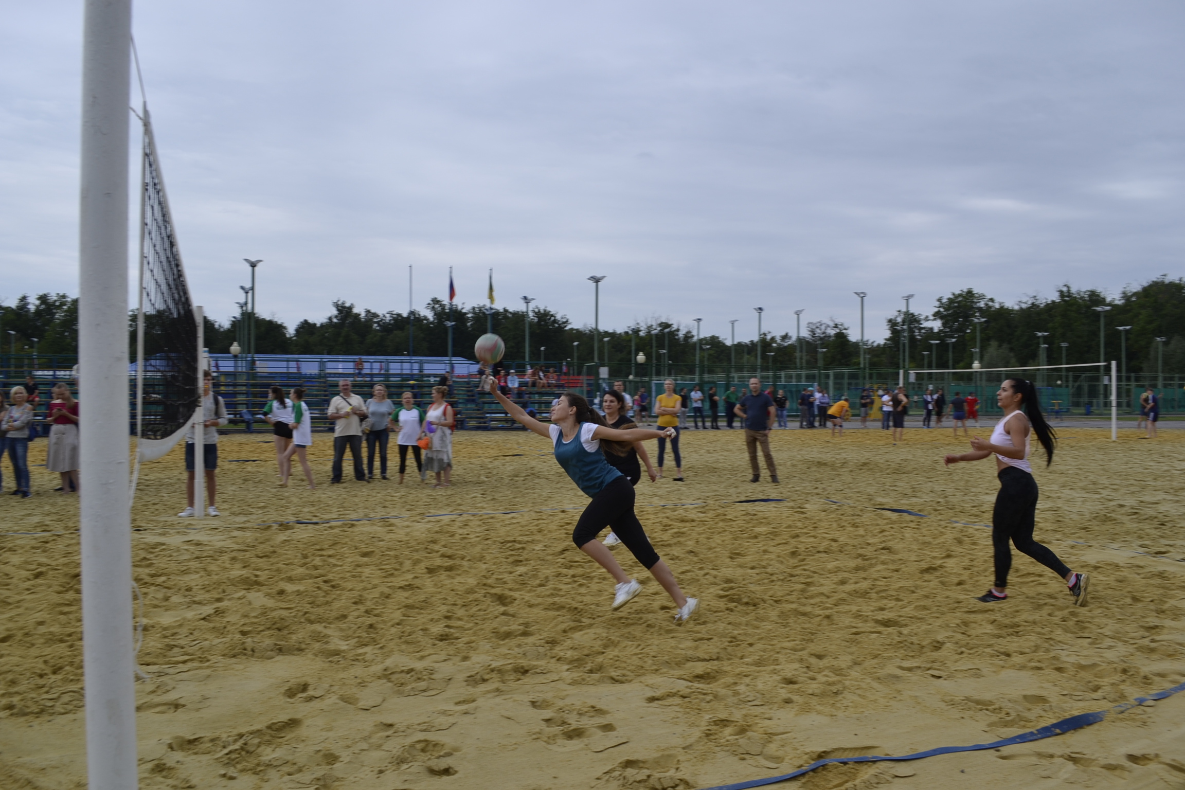 В Пензенской области будут развивать волейбол и баскетбол