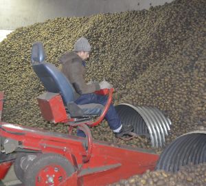 В Пензенской области существенно снизят налоги на труд