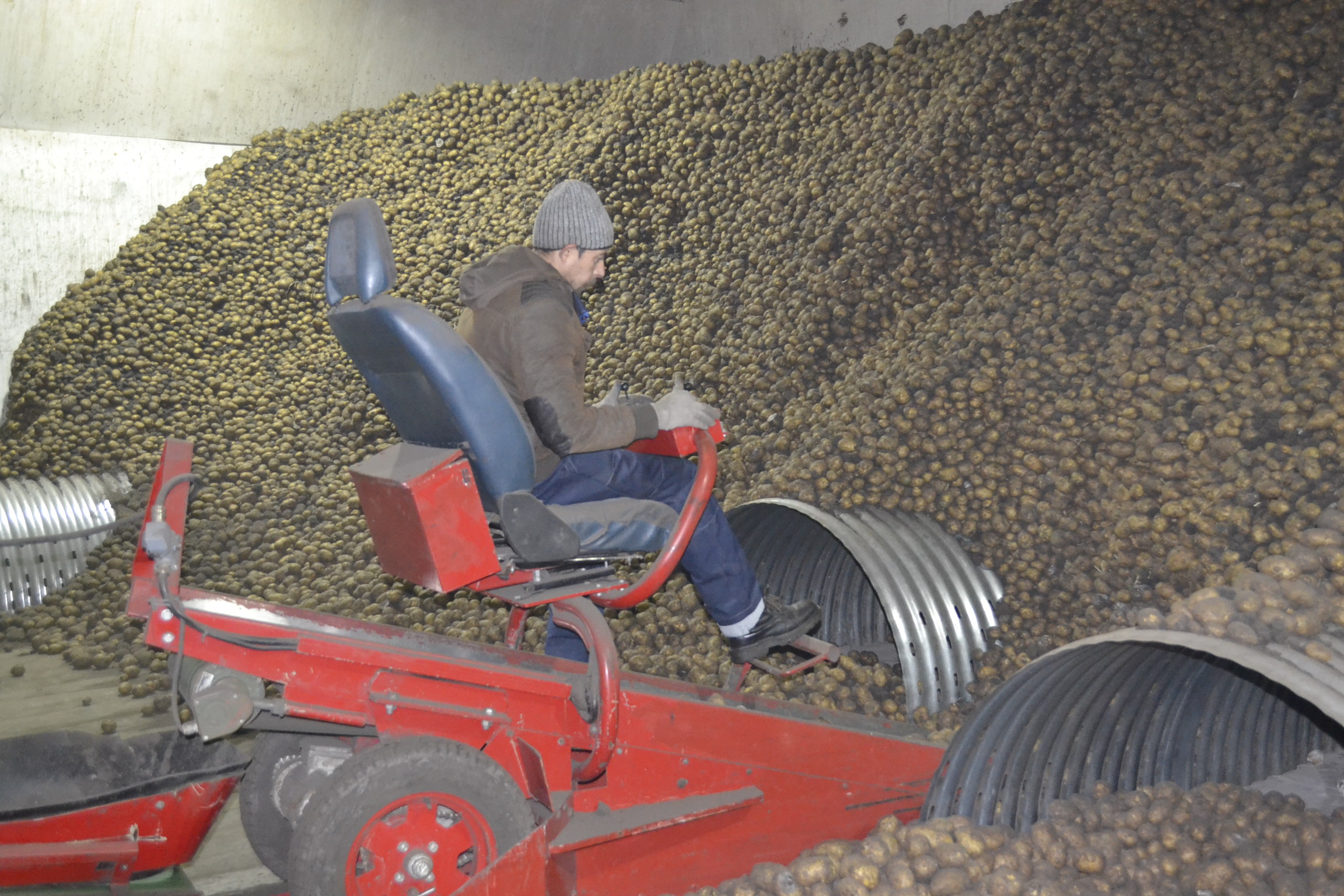 В Пензенской области существенно снизят налоги на труд