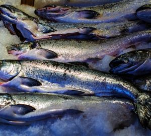 В Пензенской области Роспотребнадзор забраковал более 600 кг рыбы и морепродуктов