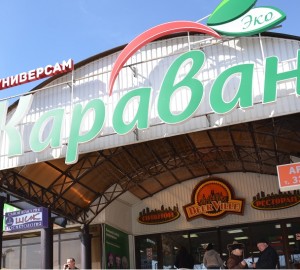 Дмитрий Лаврентьев: «Мы выдержим это вместе»