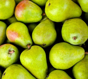 В Чемодановке раздавили две тонны запрещенных груш