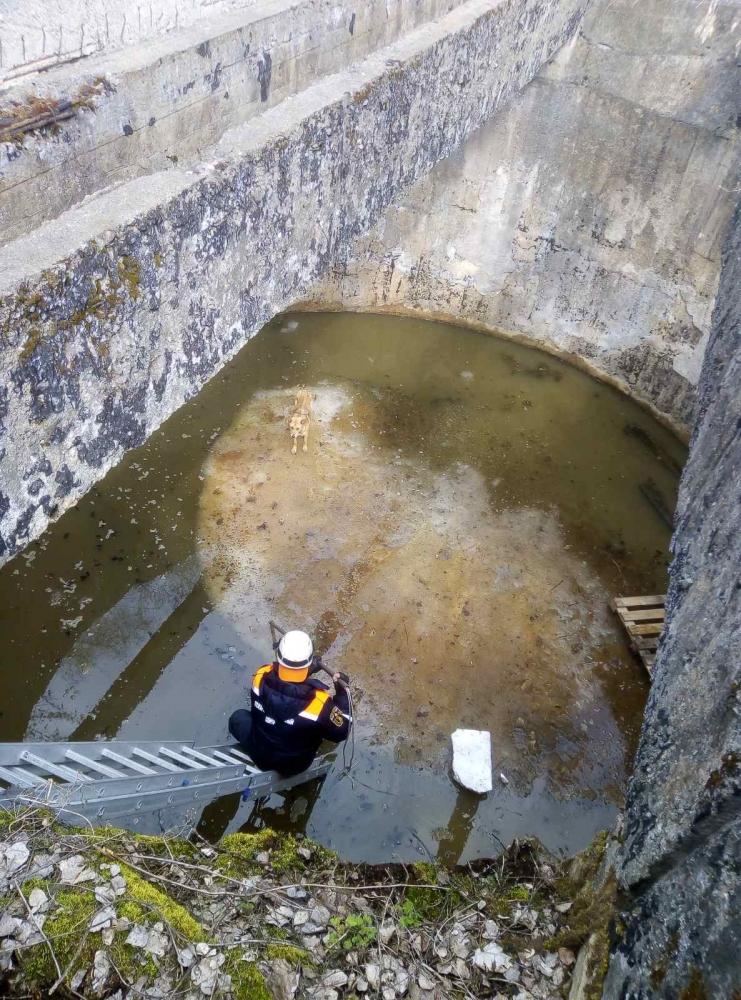 В Пензе спасатели пришли на помощь мужчине и собаке