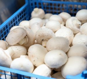 Пензенцам начали раздавать бесплатную еду в связи с коронавирусом