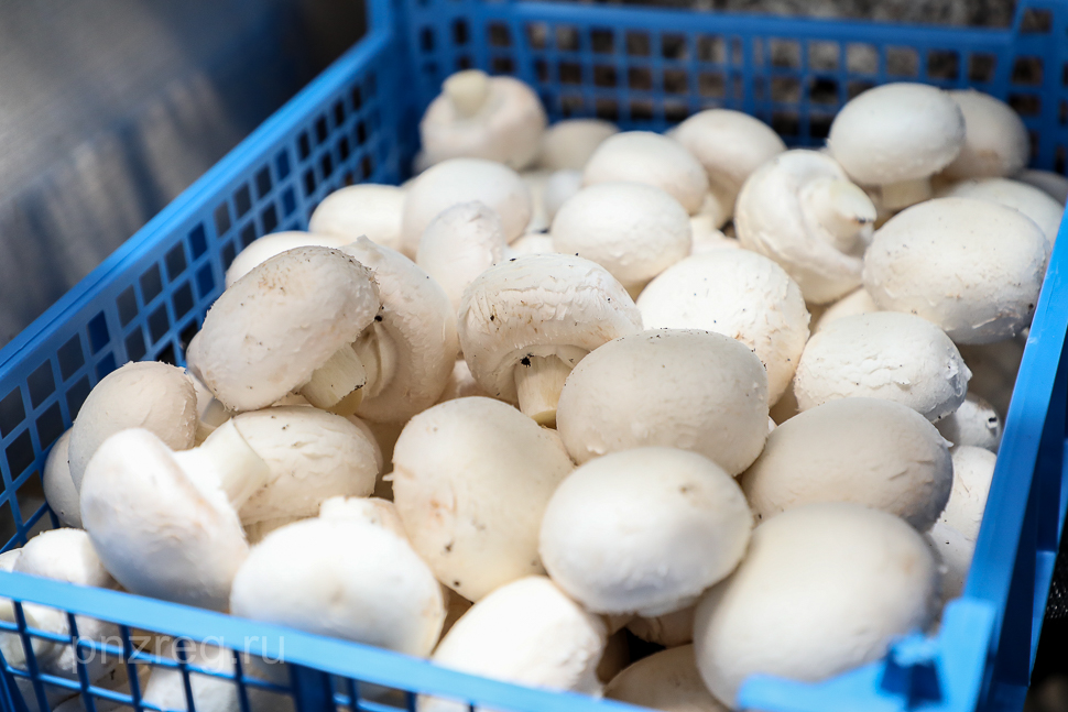 Пензенцам начали раздавать бесплатную еду в связи с коронавирусом