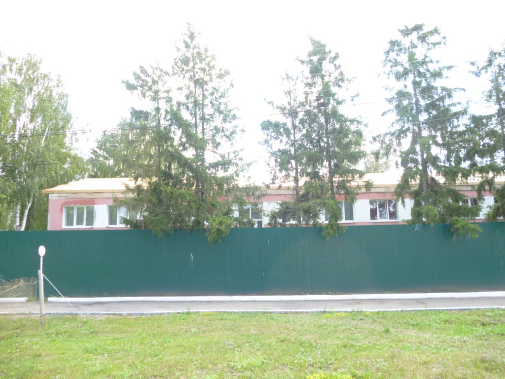 Прокуратура накажет виновных в заражении коронавирусом подопечных интерната в Бессоновке