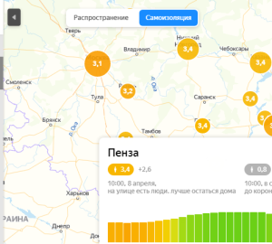 В Пензе повысился индекс самоизоляции