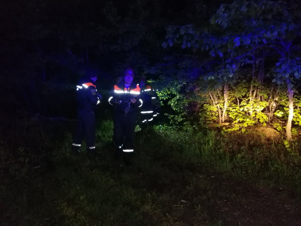 В Пензе спасатели нашли в лесу потерявшегося мужчину