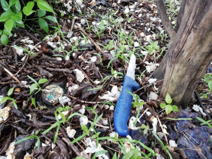 В Пензенской области двое мужчин зарезали пенсионерку ради 30 тысяч рублей