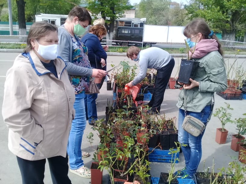 В Пензе открылась дачная ярмарка «Садовод»