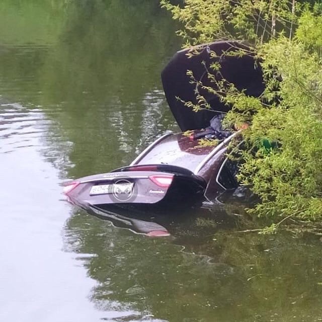 В Пензенской области девушка-водитель оказалась в пруду, спасая собаку
