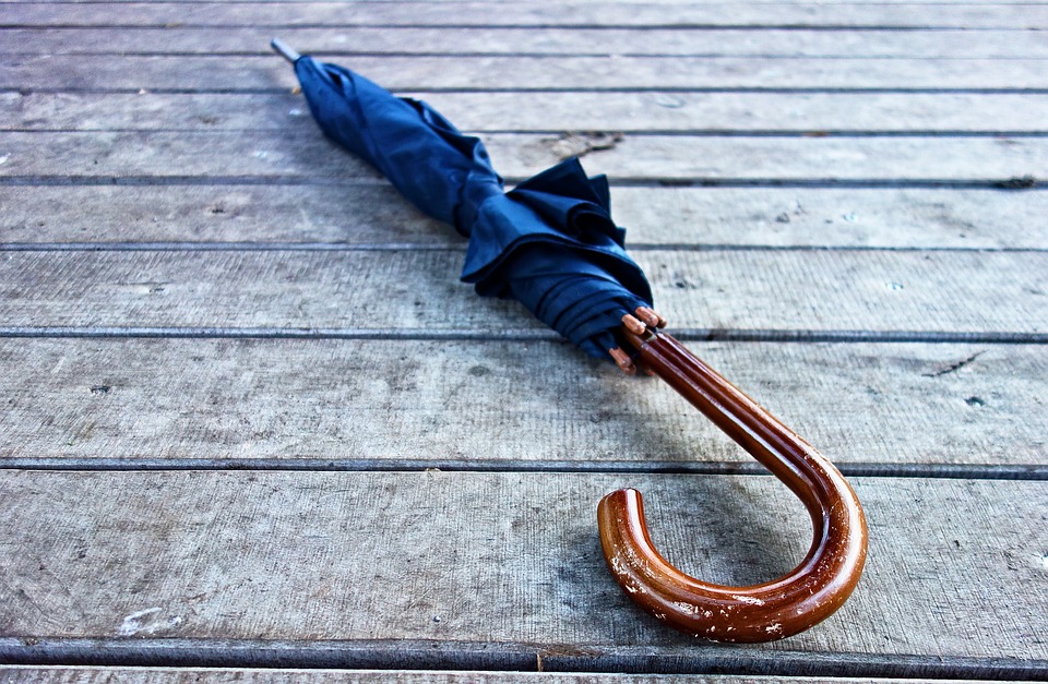 МЧС предупреждает: в Пензенскую область придет сильный ветер