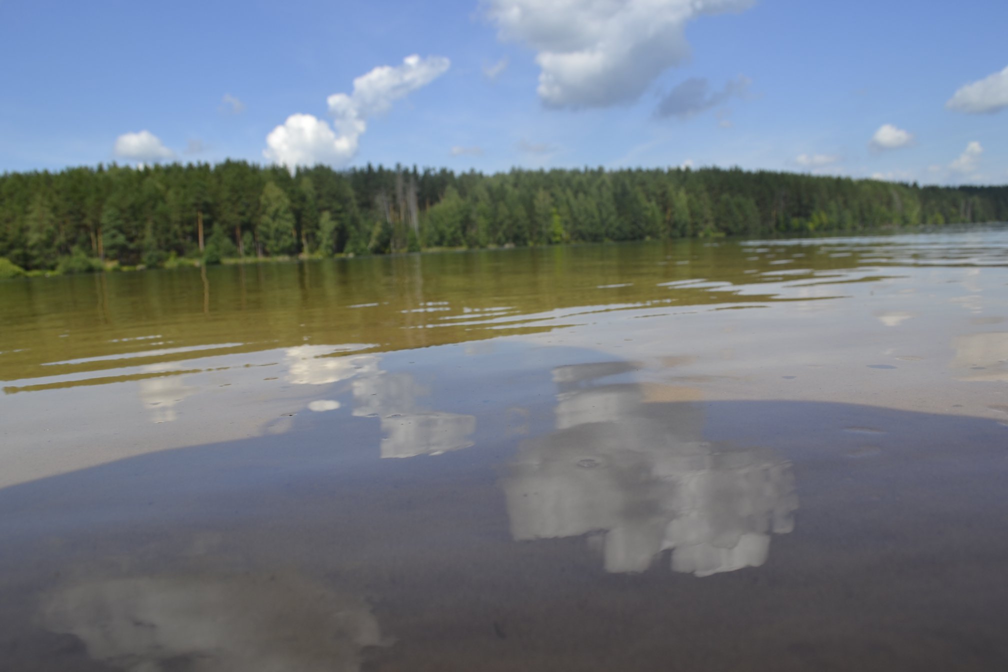 Вода для купания пригодна лишь на двух пляжах в Пензе