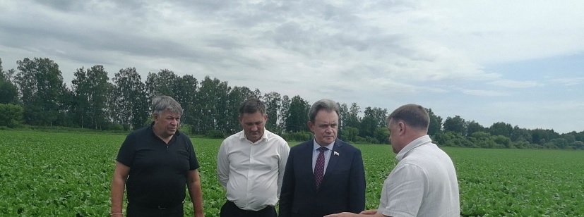 Валерий Лидин высоко оценил качество посевов сахарной свеклы в Бековском районе