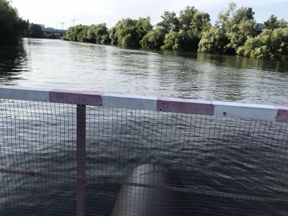 В Пензе достали из реки мёртвого подростка